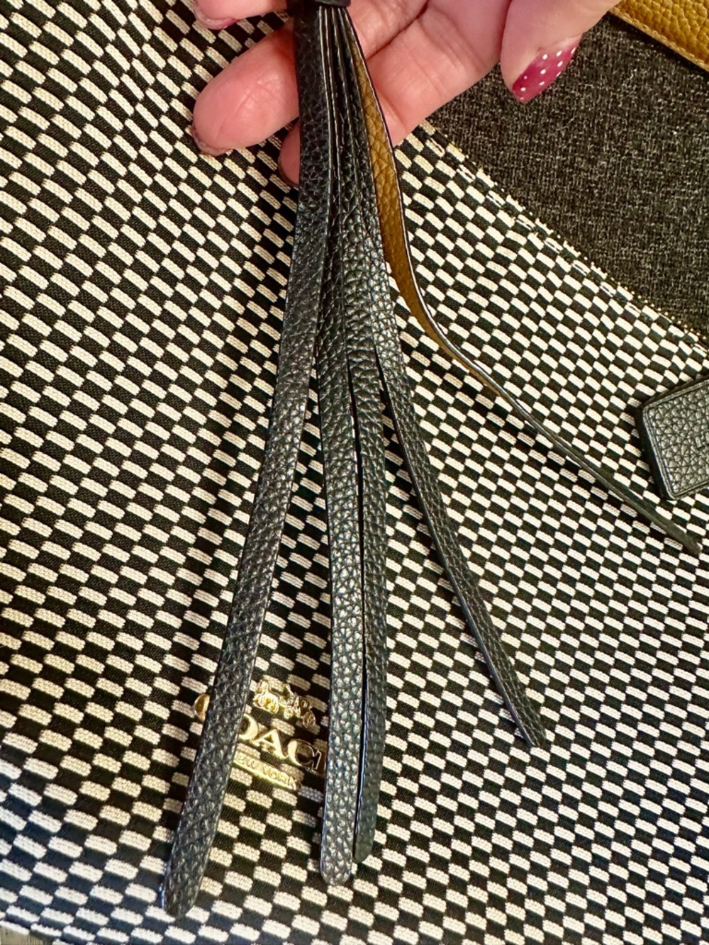 Coach Purse - Picture 4 of 10